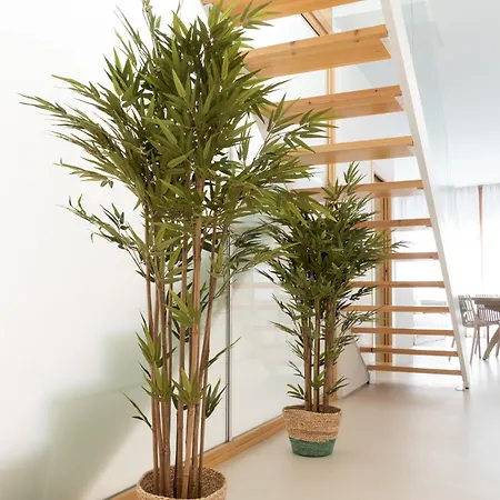 Apartament Don Algodon Platja